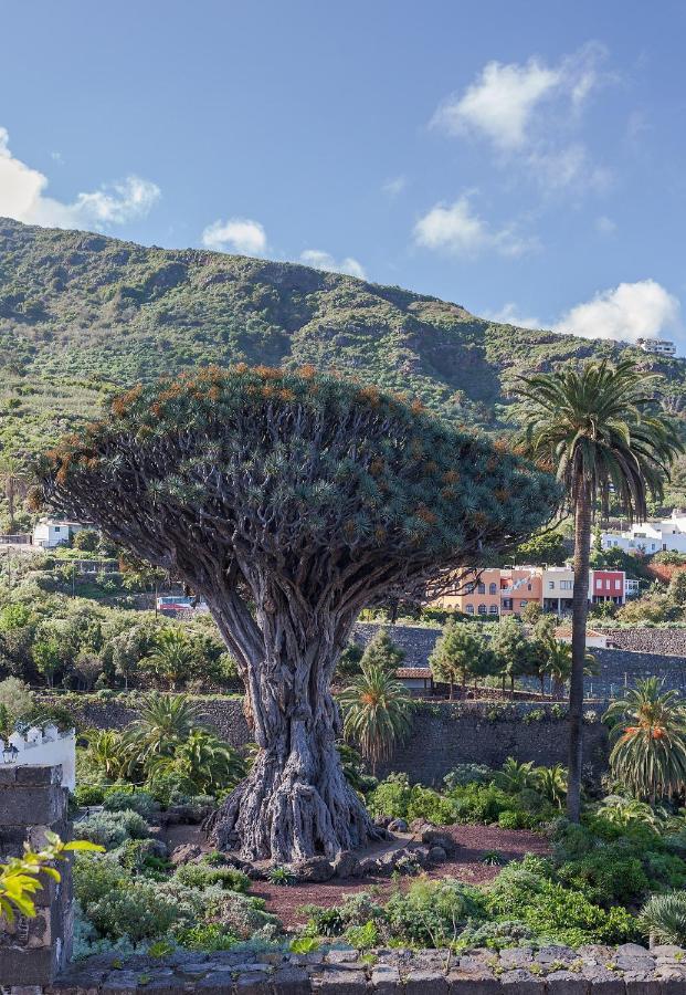 Terraza Centrico Pueblo Aparcamiento Cerca Icod De Los Vinos Exterior foto